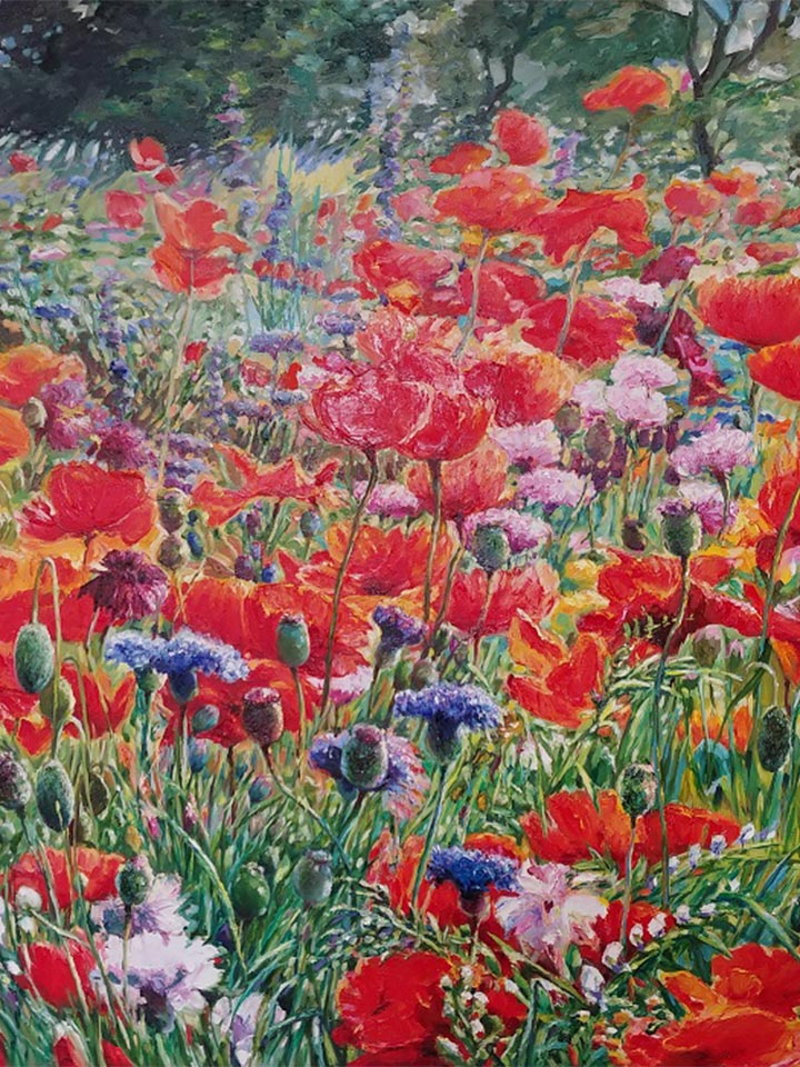 Poppy Hill by Pakan Penn