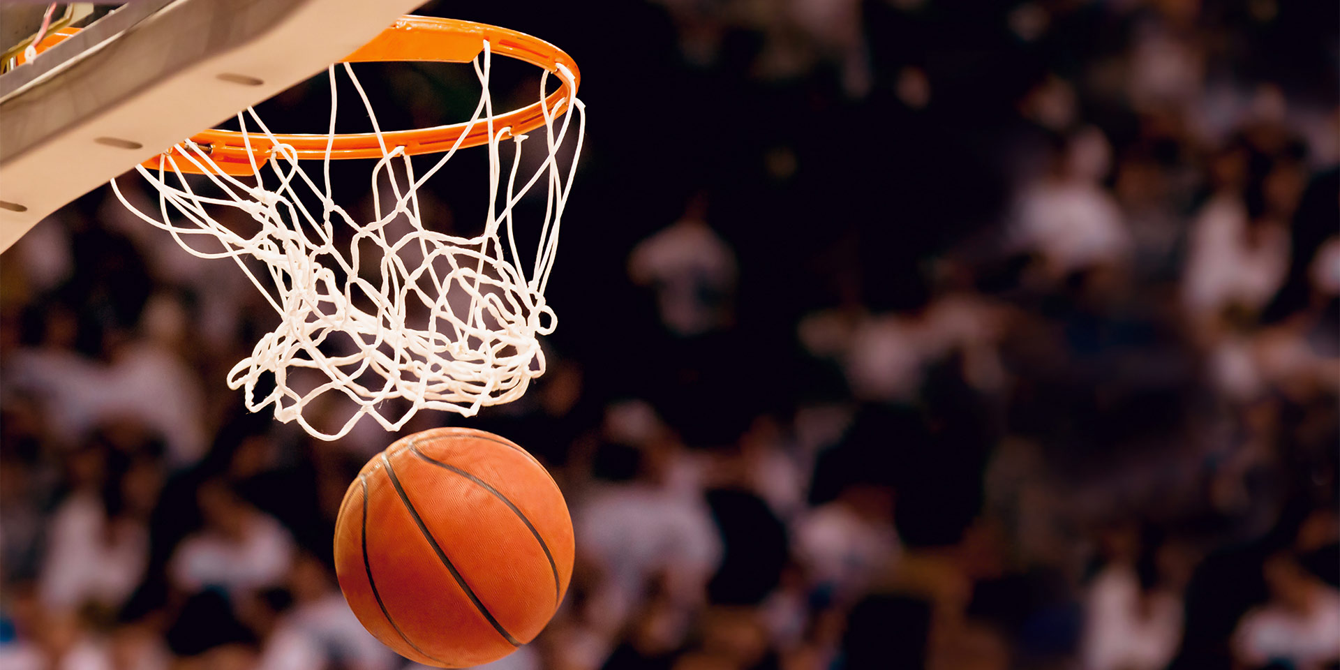 Basketball and net