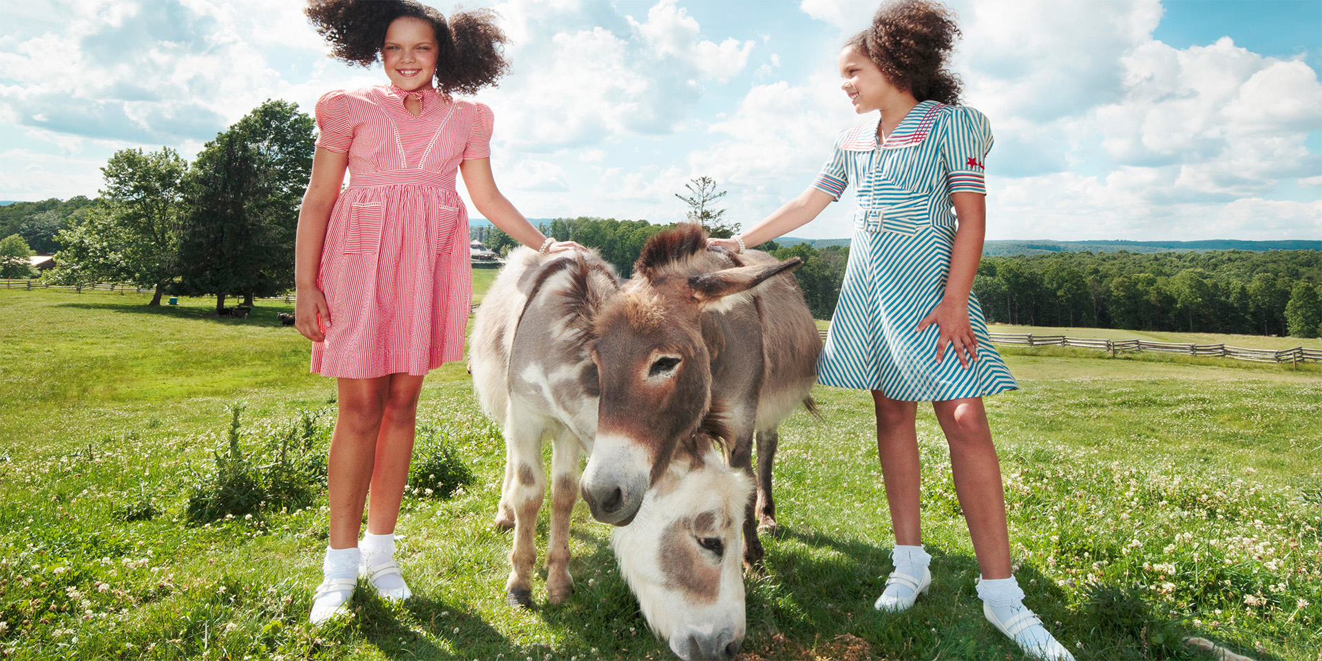 Girls pet a Donkey at the petting zoo