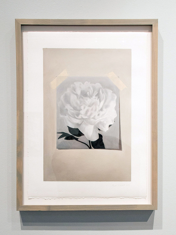 Brent Nakamoto, Peony, oil on arches, Clublevel Gallery