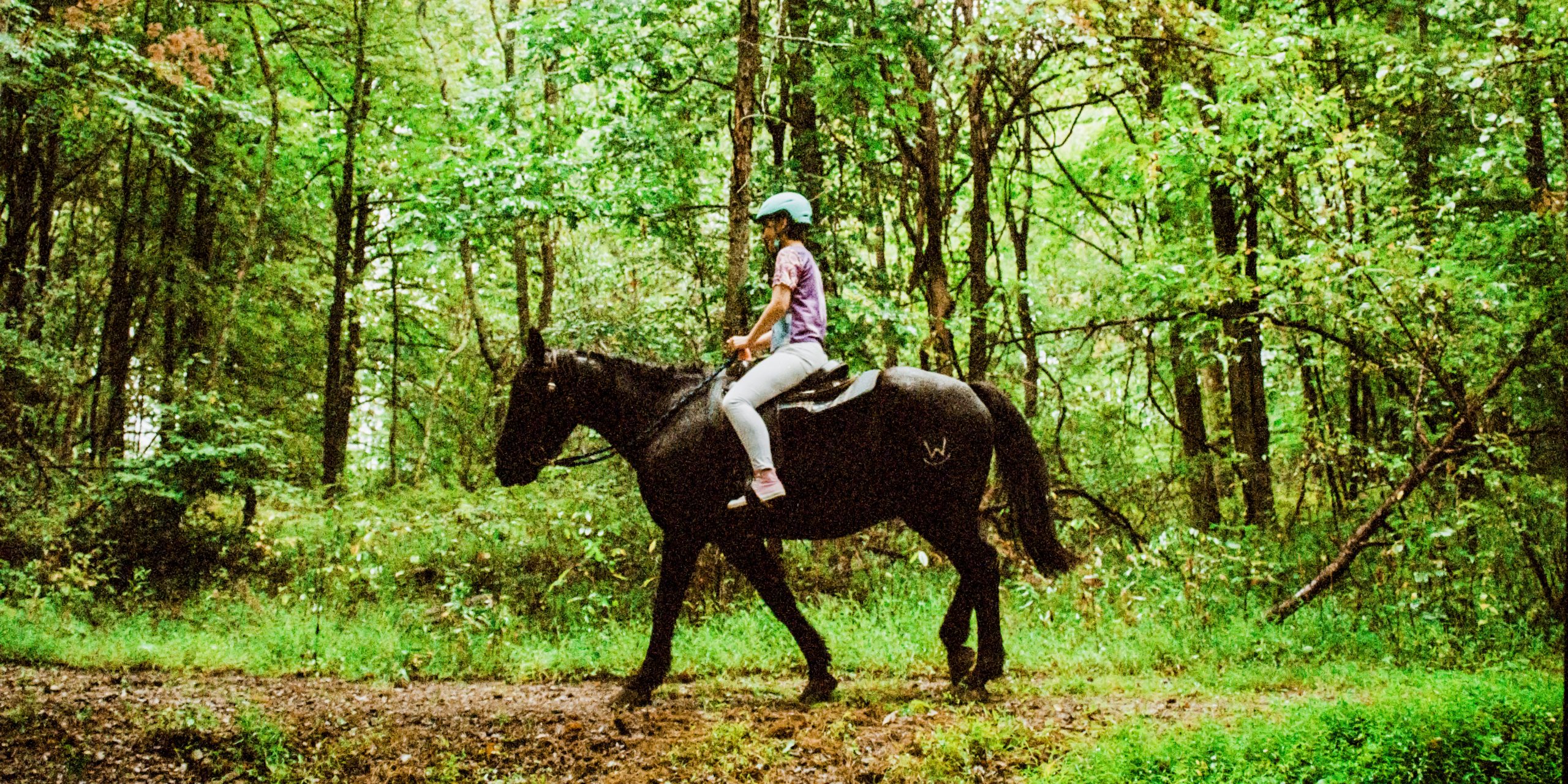 kid on a horse