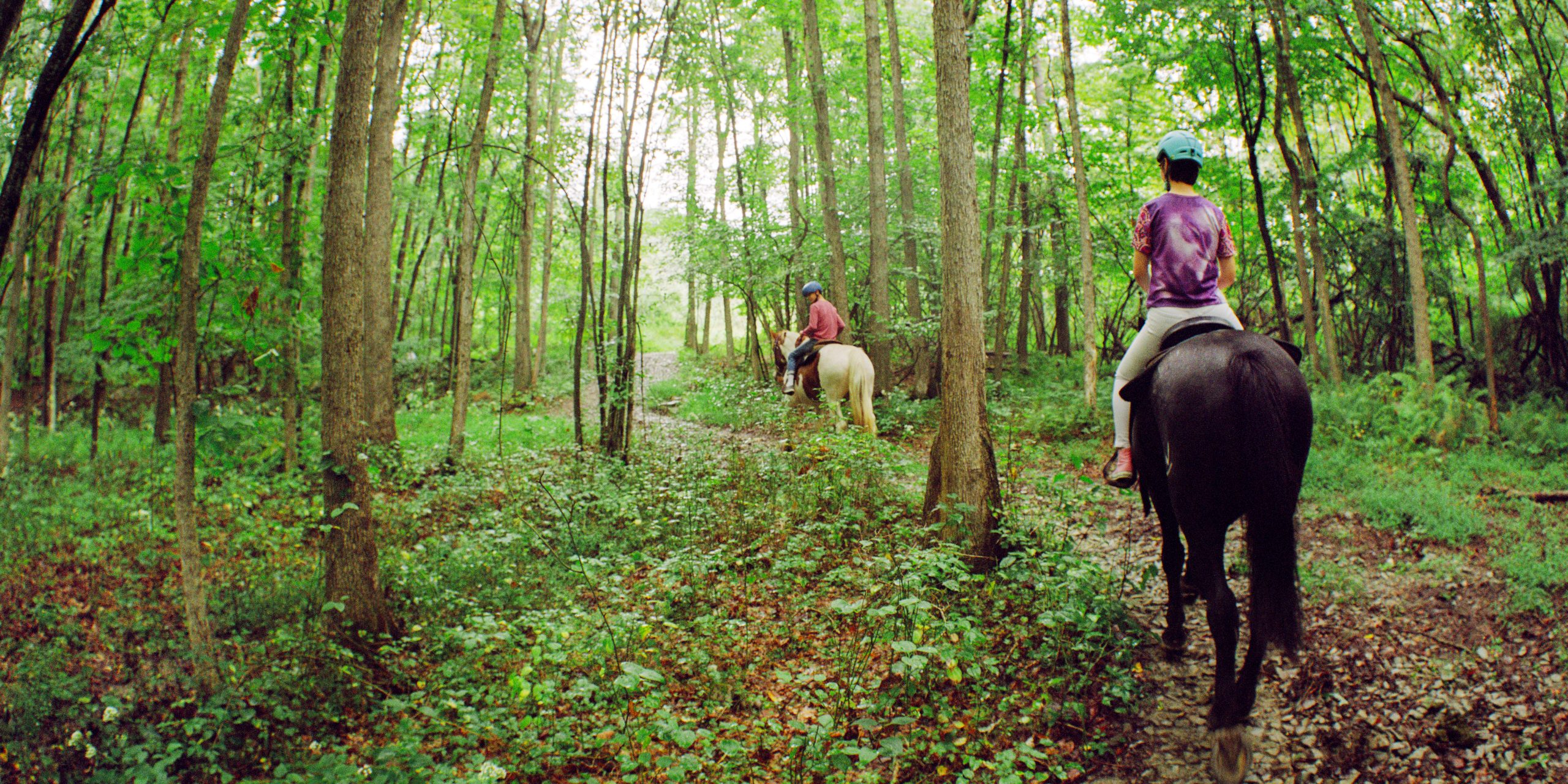 Horseback riding in the woods