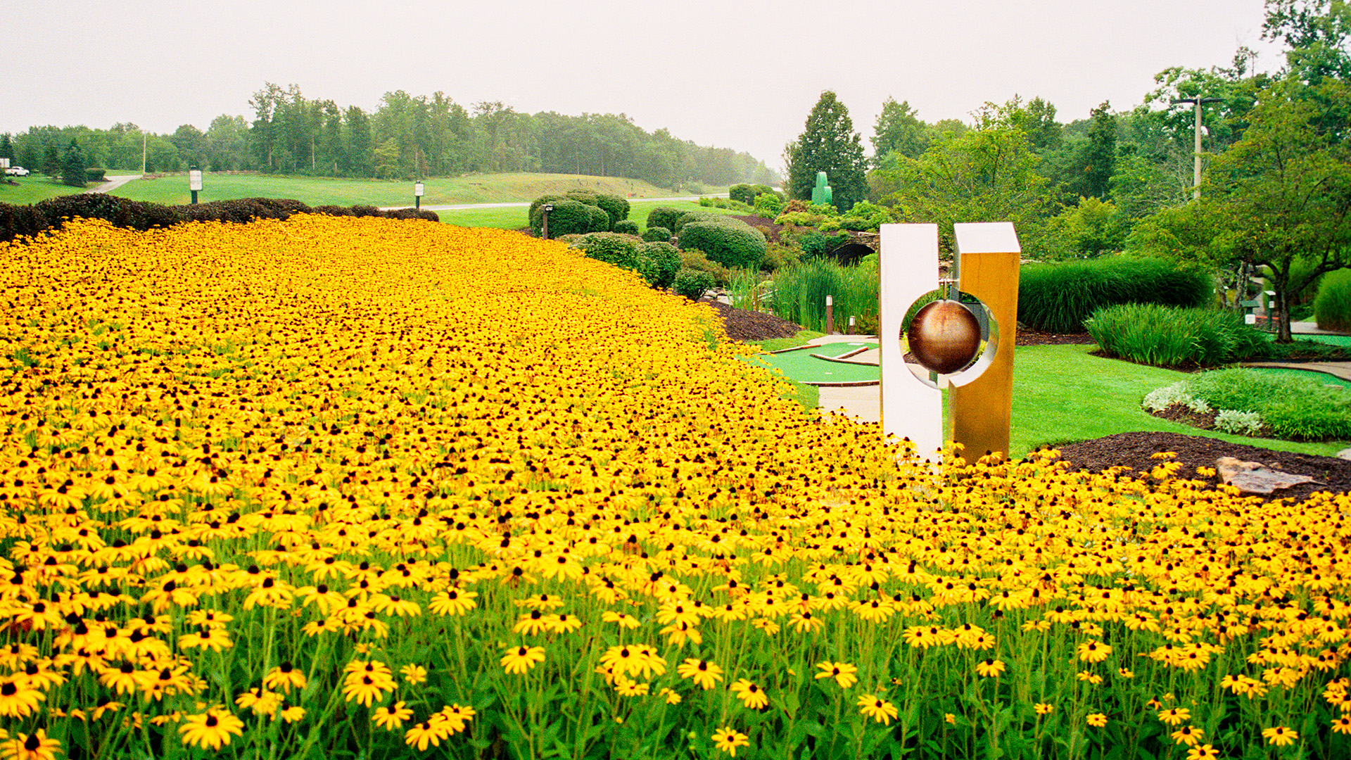flowers in a field with a sculpture