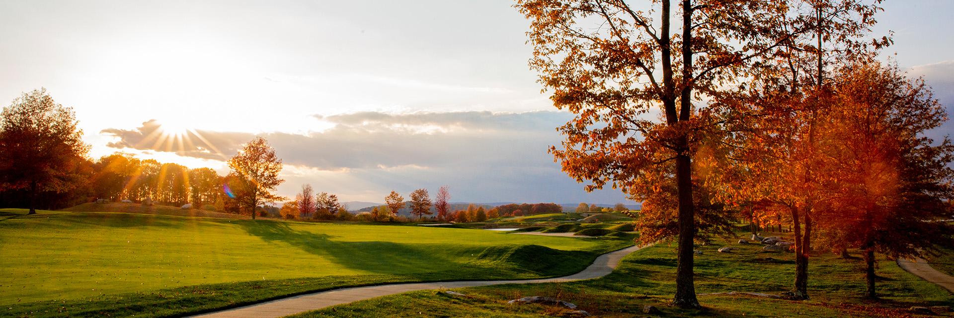 trees on a golf course