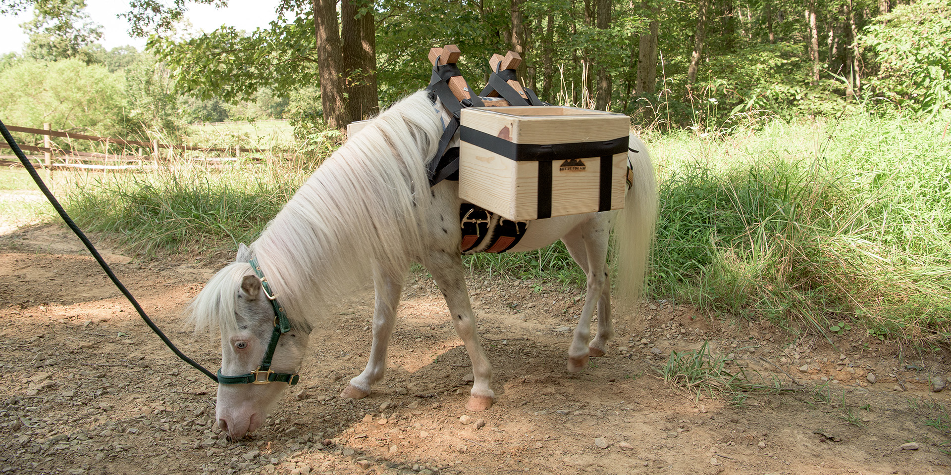 opal with a box