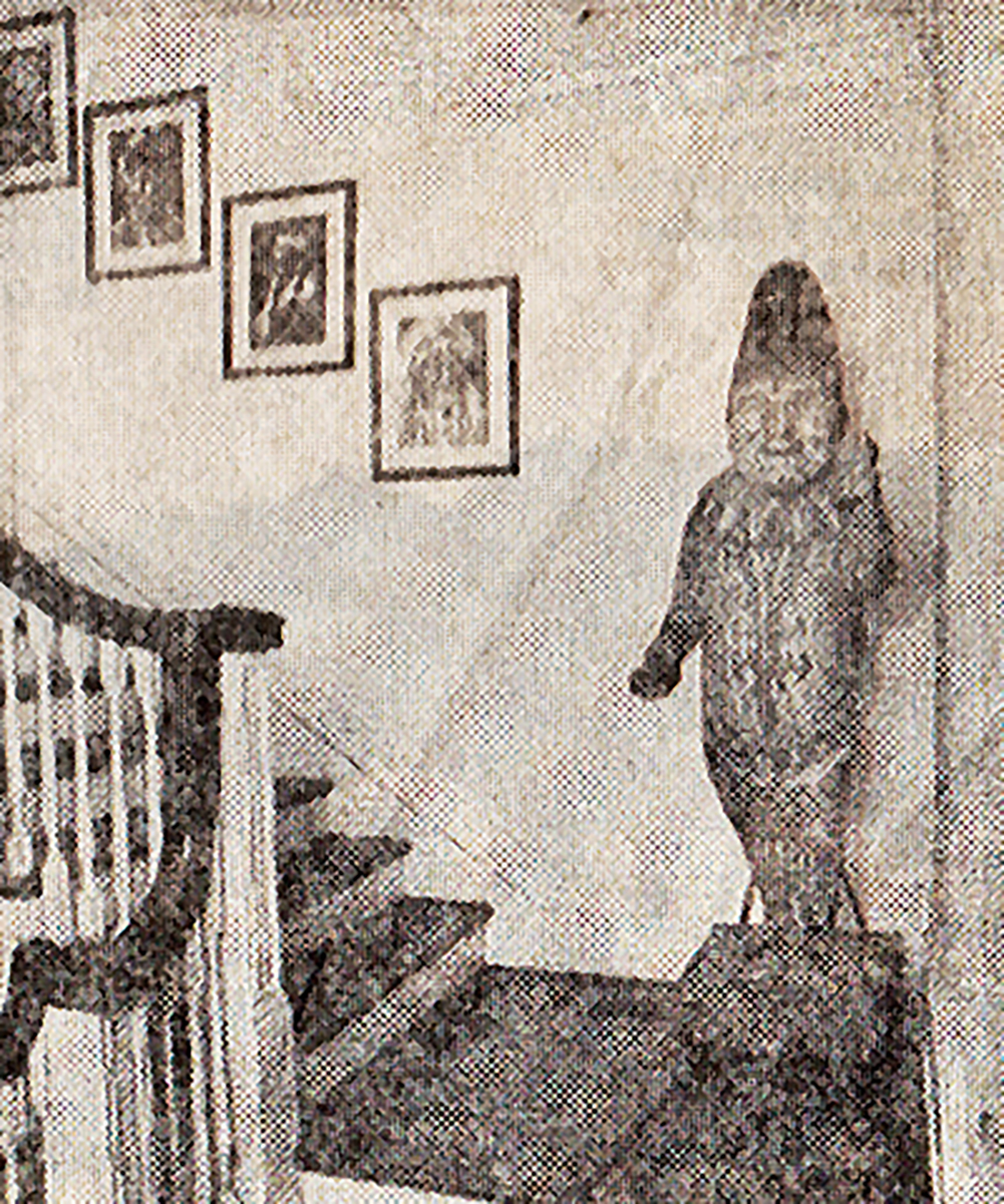 a photo taken of the Punch figurine in Andy Warhol's apartment on the landing of a staircase